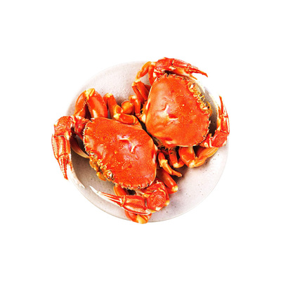 阳澄湖大闸蟹